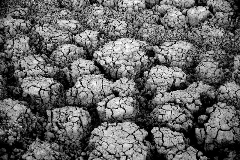 Environmental dystopia